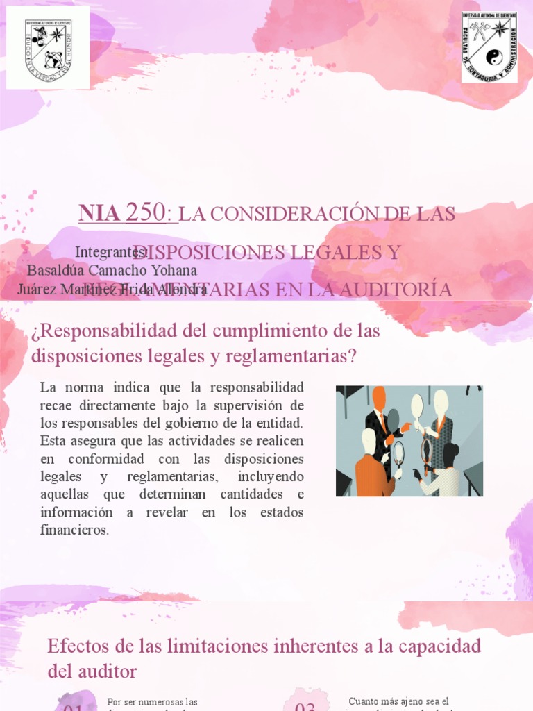 Nia 250 PDF Auditoría Contralor
