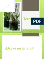 Terrario