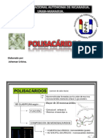 Polisacáridos.pdf