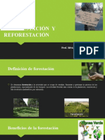 Deforestación y Reforestación