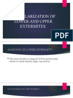 Vascularization of Lower and Upper Extermites-1