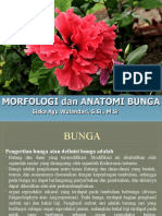 Bunga