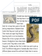 Animal Body Parts: Name - Date
