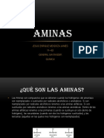 AMINAS