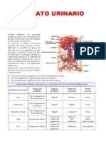 Aparatourinario PDF