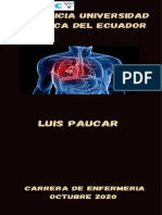 Pulmones Comprimido PDF