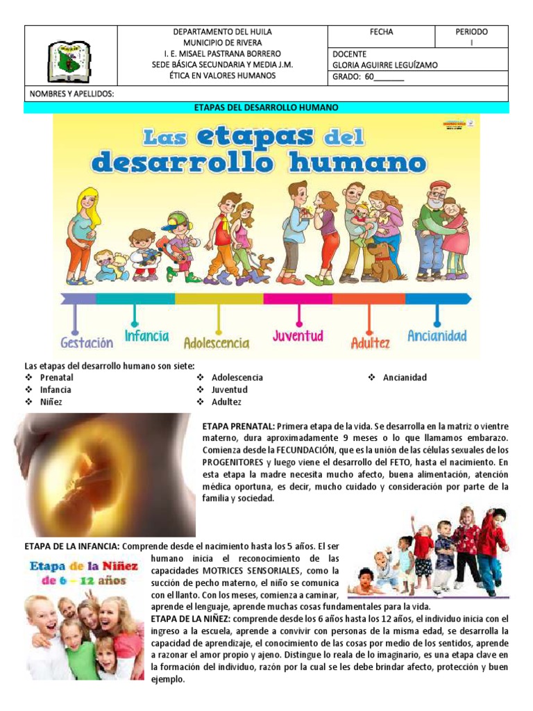 Etapas del Desarrollo Humano | PDF | Adultos | Vejez