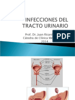 INFECCIONES-DEL-TRACTO-URINARIO.ppt