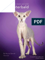 The Peterbald Article PDF