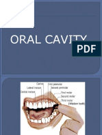 14-Oral Cavity