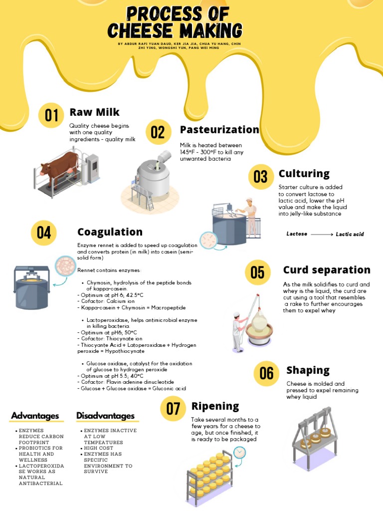 Cheese Making: Enzymes & Process | PDF | Cheese | Milk