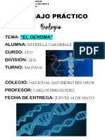 3ER TRABAJO PRÁCTICO DE BIOLOGÍA - EL GENOMA - Estrella Carnebale - 6to 2da - Turno Mañana