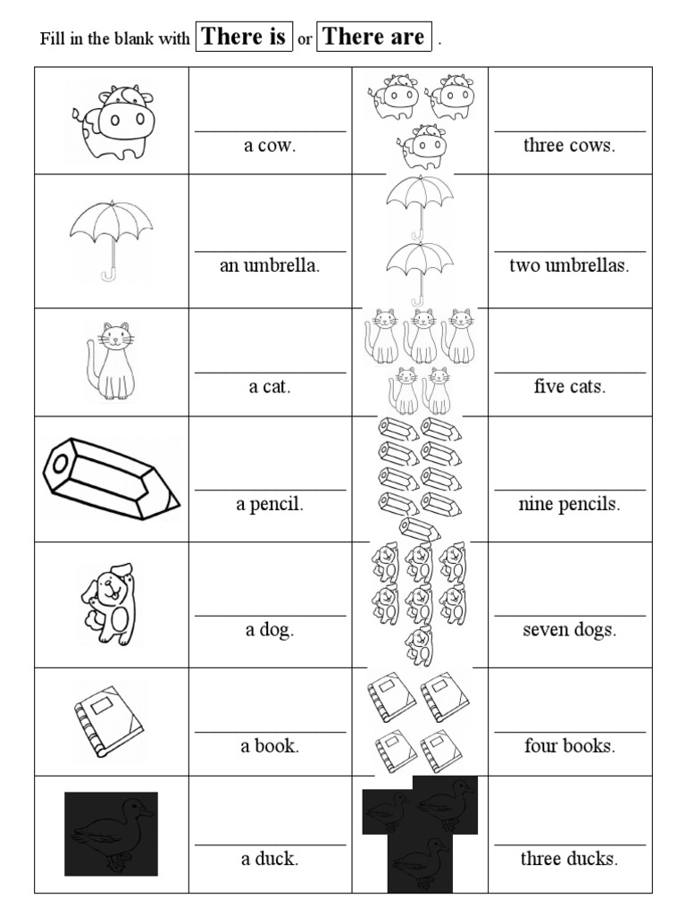 Fill in The Blank With There Is or There Are | PDF