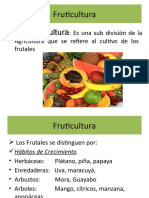 Presentacion Fruticultura