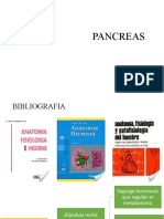 Pancreas