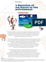 Bi-Color Animal Environmental Adaptations Printable Worksheet