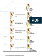 Clasificaciones de Erosiones