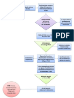 Flujograma Del Proceso de Implementación Por Primera Vez Niif Pymes