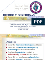 Hierro 2013.pdf