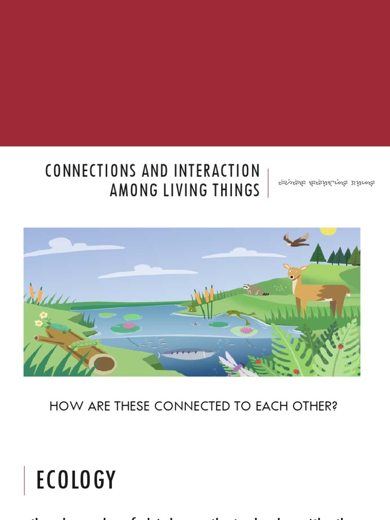 Connections and Interaction Among Living Things | PDF