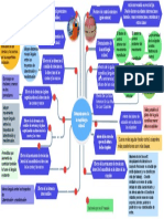 Determinantes de La Oclusion