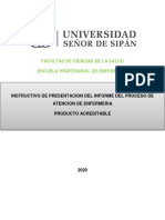 INSTRUCTIVO  DEL PAE USS 2020 (1).pdf