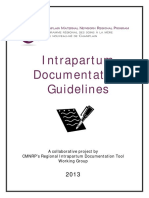 Documentation Guidelines - 2013 FINAL