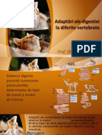 adaptari_ale_digestiei
