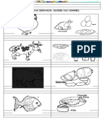 Animales y Sus Derivados