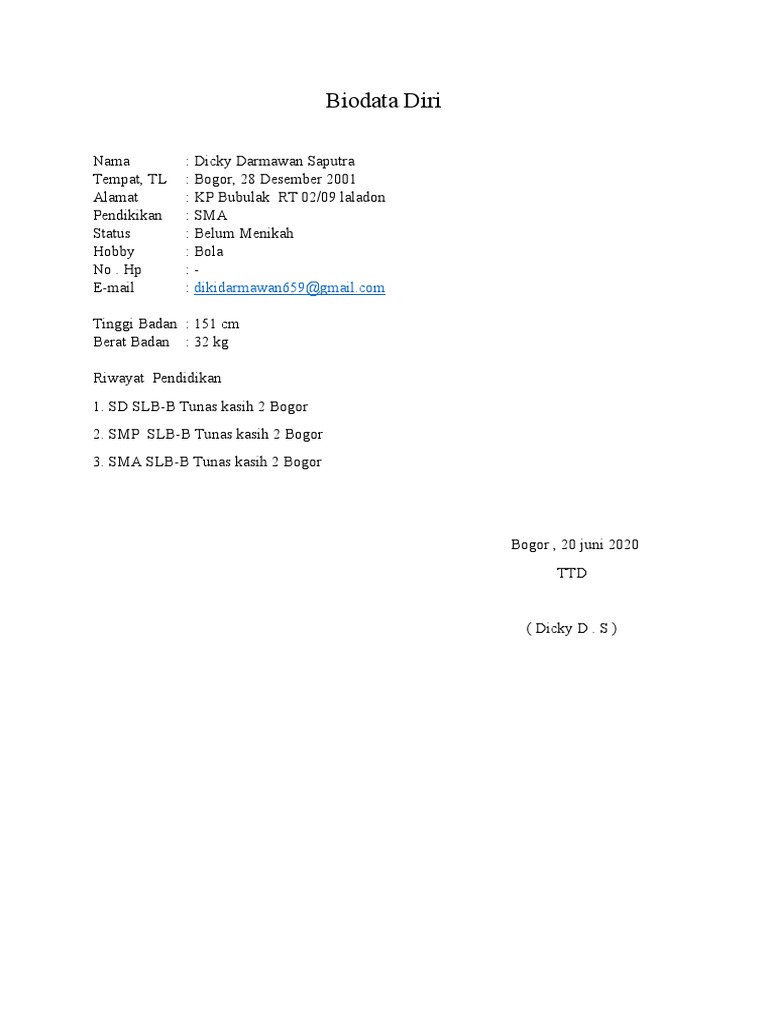 Biodata Diri Dicky Pdf
