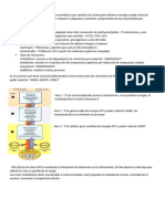 Tema 7 - Metabolismo