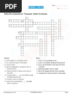 05DISA - WS 01: Solve The Crossword On "Tsunamis" Within 10 Minutes