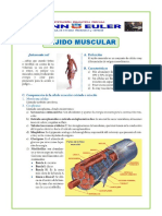 El-Tejido-muscular 5 ° Secundaria