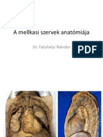 A_mellkasi_szervek_anatomiaja_Dr_Faluhelyi_Nandor.pdf