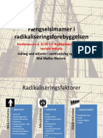 Fængselsimamer I Radikaliseringsforebyggelsen, PPP., Mai Møller Nielsen
