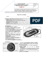Guía nº3 La célula