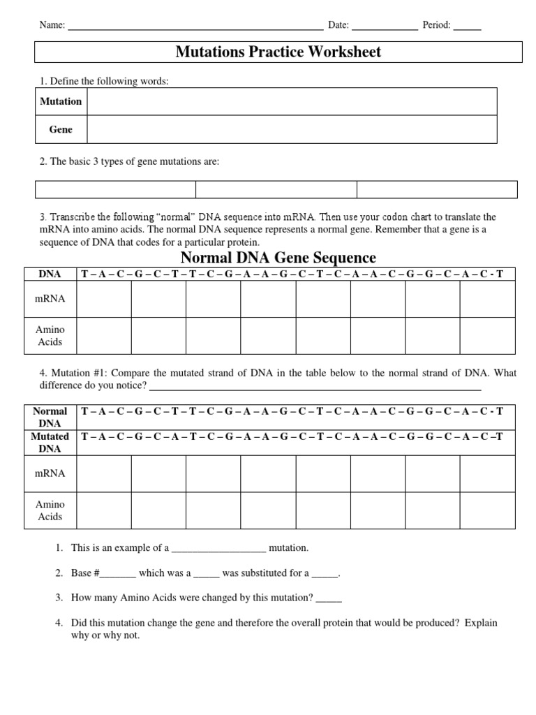 Mutations Worksheet PDF | PDF | Gene | Nucleic Acid Sequence