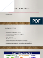 Shape & Size of Bacteria: DR - Asma A/Aziiz