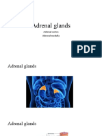 Adrenal Glands: Adrenal Cortex Adrenal Medulla