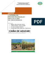 CAÑA DE AZUCAR.docx
