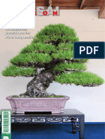vdocuments.site_bonsai-pasion-81