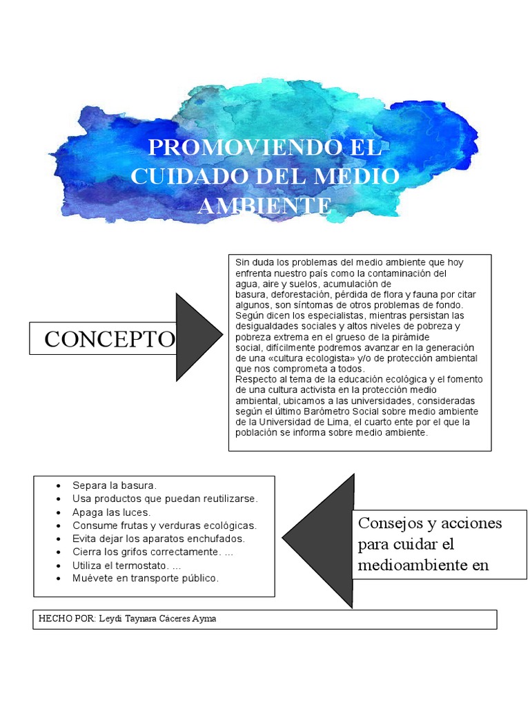 Promoviendo El Cuidado Del Medio Ambiente | PDF