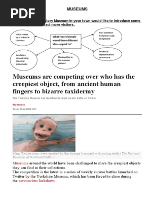 What is a museum and its purpose-1