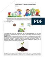 Ayudemos A Nuestras Plantas A Crecer Fuertes y Sanas