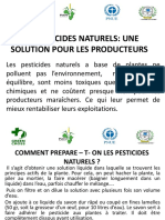 Formation Pesticides Naturels Green Cross Burkina Faso