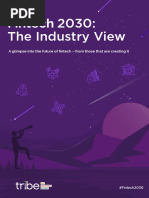 Fintech 2030 - The Industry View Research Report PDF