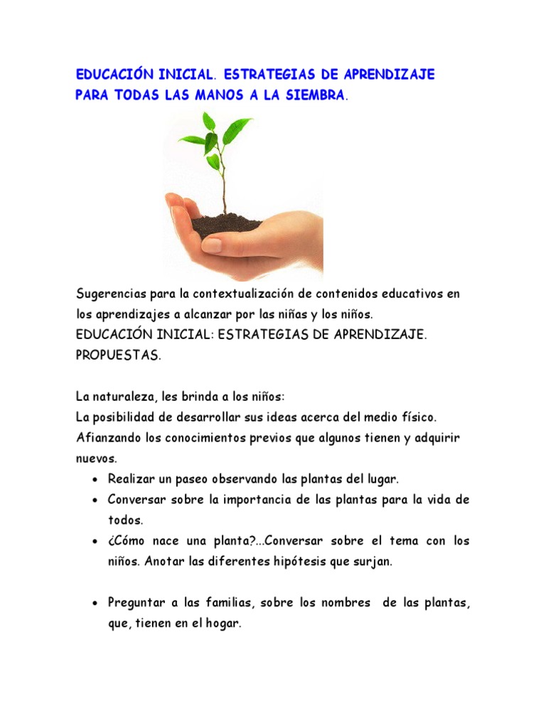Educación Inicial Estrategias de Aprendizaje para Todas Las Manos A La ...