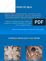 Cristais de Agua - Massaro PDF