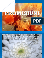 Promisiuni