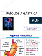 ESTOMAGO - Patologia DR Llanes